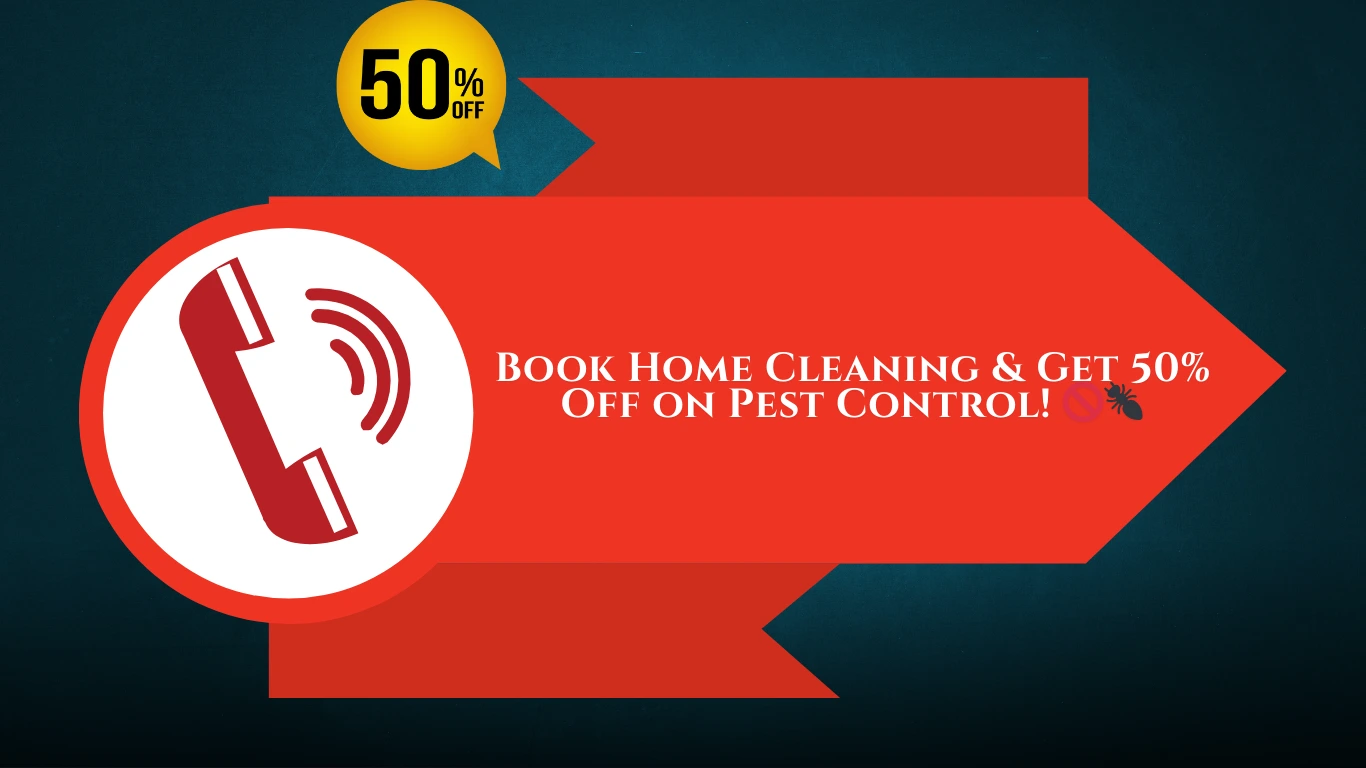 Book home cleaning and get 50% off on pest control services in Ambernath